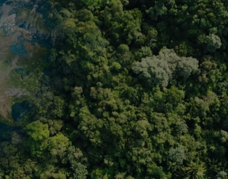 Sustainability Driven